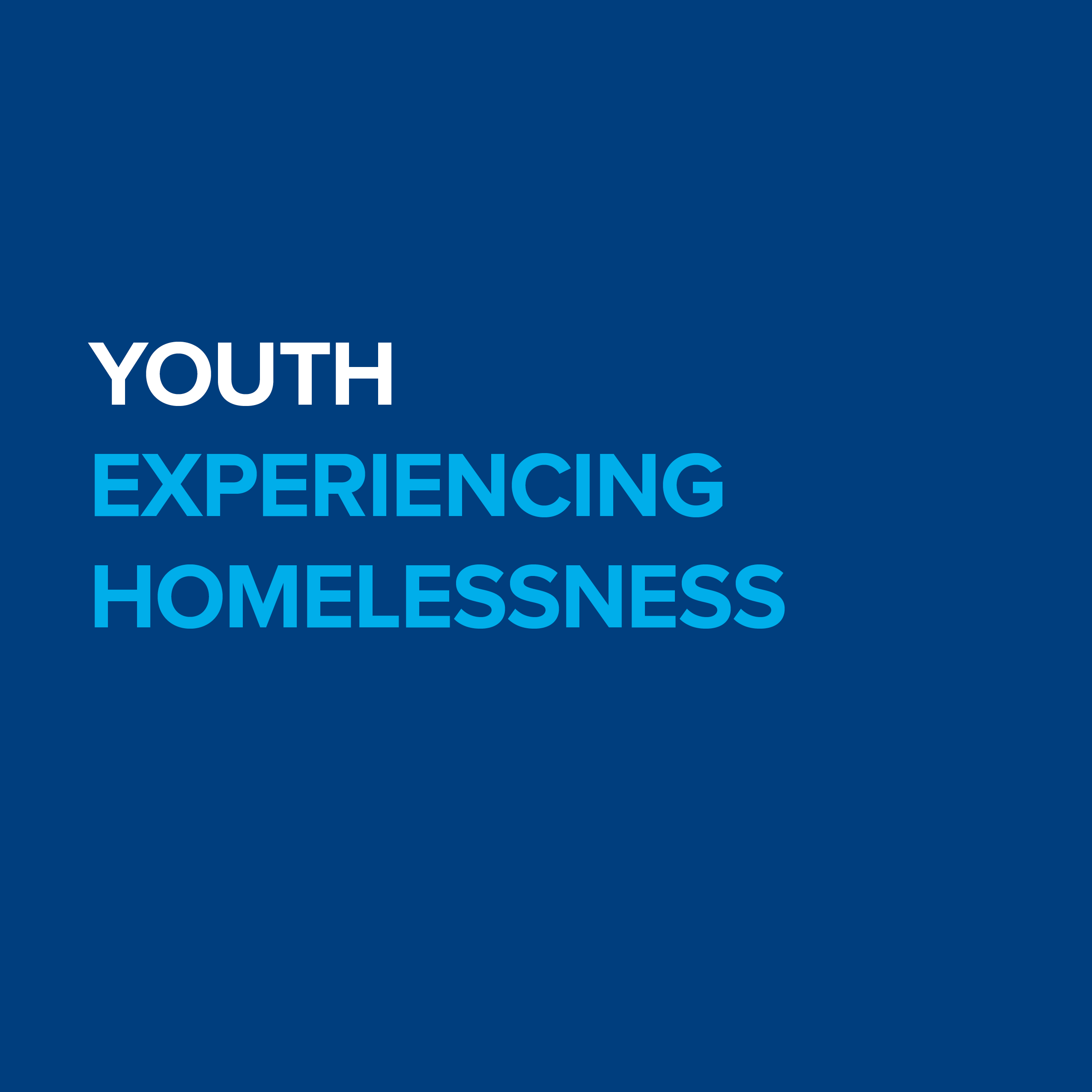Youth Experiencing Homelessness