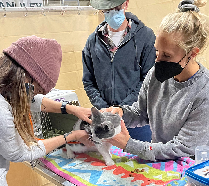Healthy Pets, Healthy Community