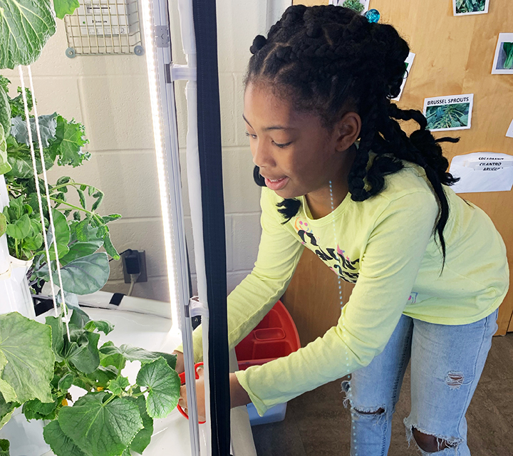 Growing Seeds of Hope and Health