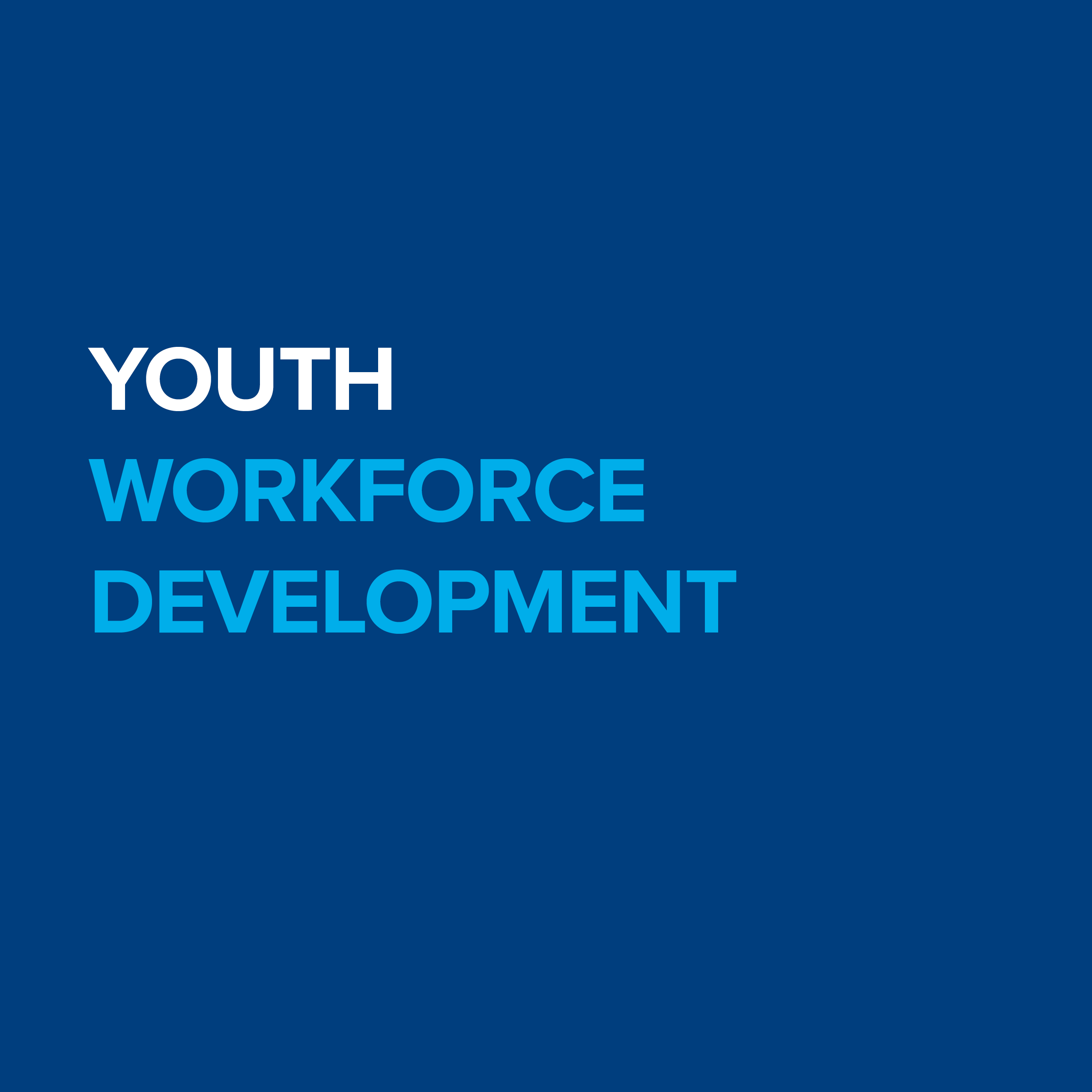 Youth Workforce Development